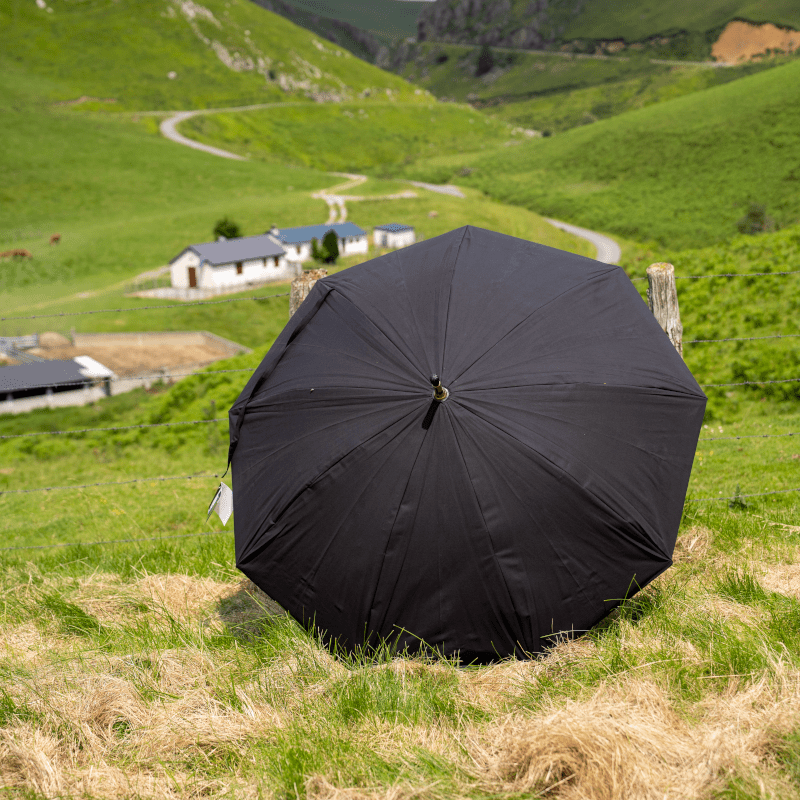 parapluie du berger